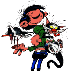 Avatar de l’utilisateur