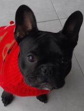 Avatar de l’utilisateur