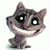Avatar de l’utilisateur