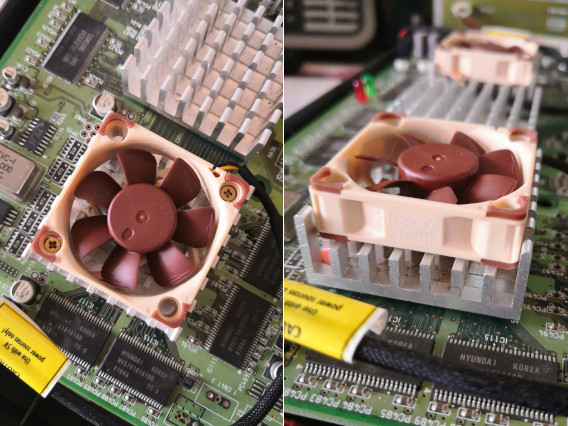 IMG_1 - Noctua on Naomi 2.jpg